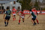 RUGBY 4