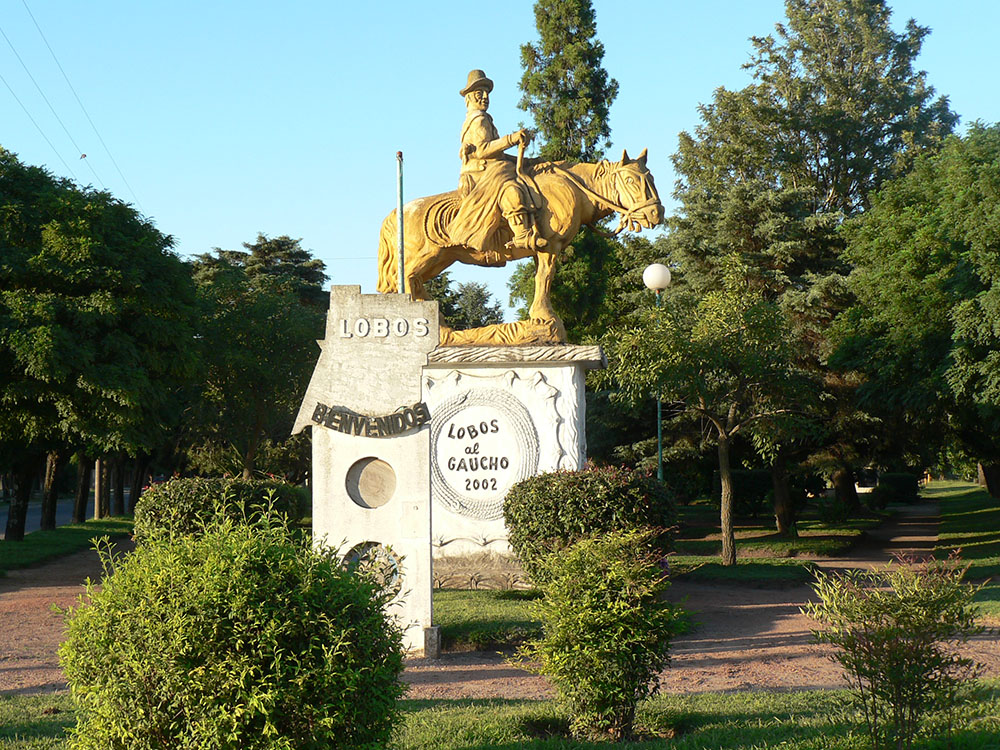 LOBOS 6